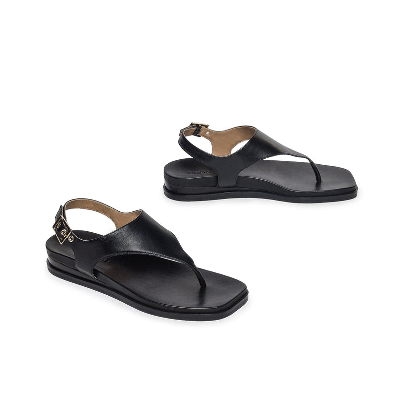 Bernardo Concord Thong Flade Sandaler Dame Sort | JHN927VK