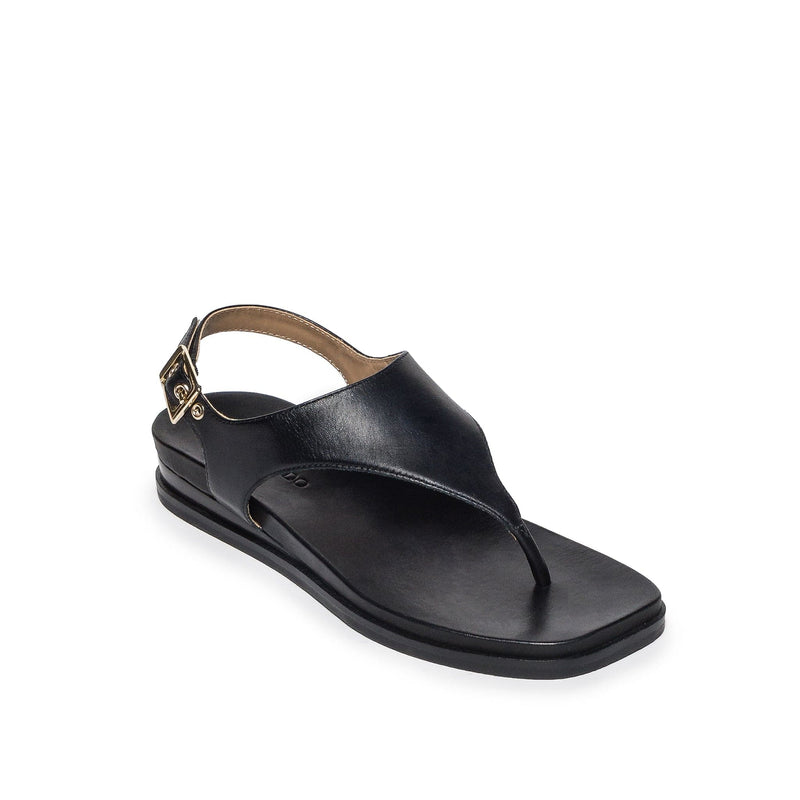 Bernardo Concord Thong Flade Sandaler Dame Sort | JHN927VK
