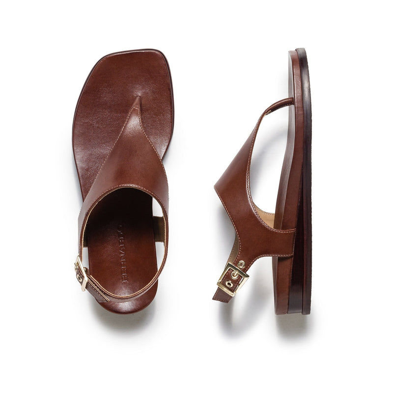 Bernardo Concord Thong Flade Sandaler Dame Chokolade | JYE203WC