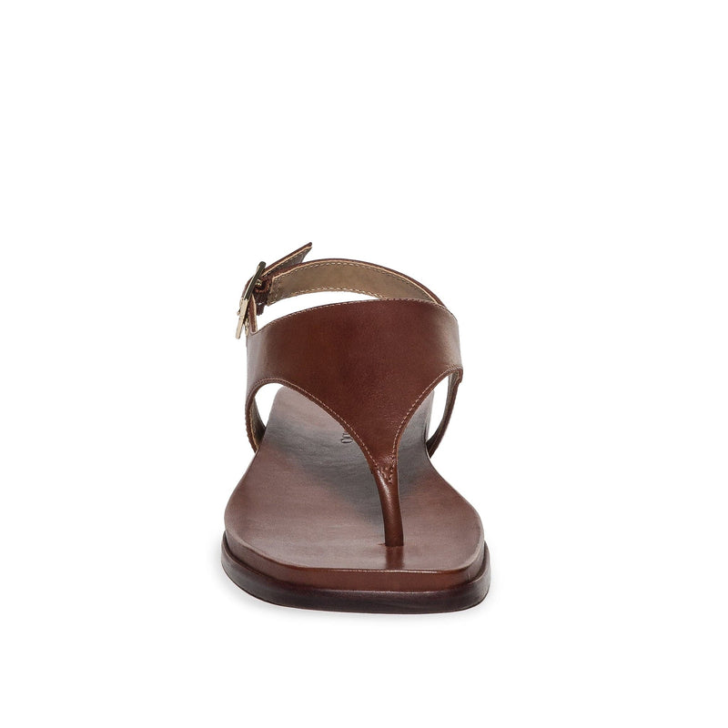 Bernardo Concord Thong Flade Sandaler Dame Chokolade | JYE203WC