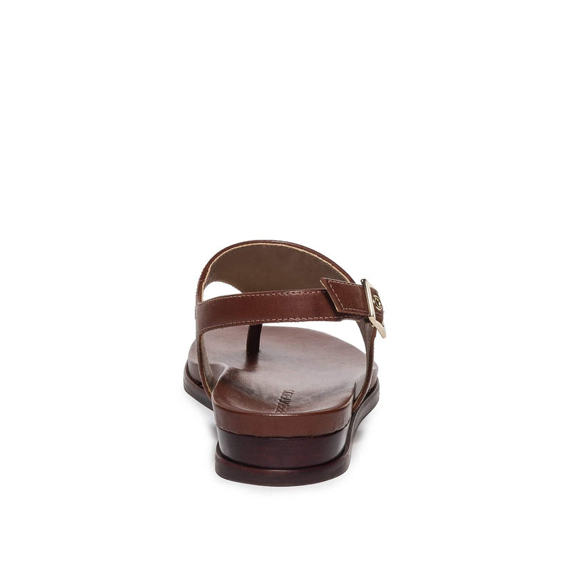Bernardo Concord Thong Flade Sandaler Dame Chokolade | JYE203WC