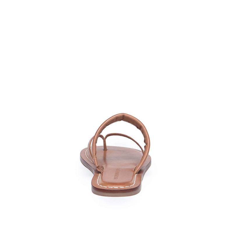 Bernardo Leia Thong Flade Sandaler Dame Brune | QHD648KY